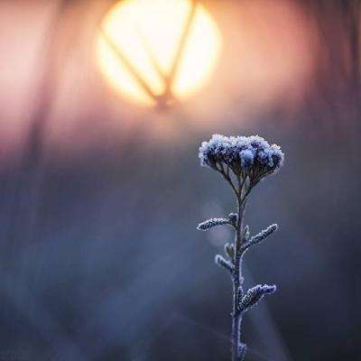 数智再创新，新质领未来 | ABB...